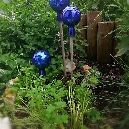 Walchen Near Slopes 아파트 피센도르프