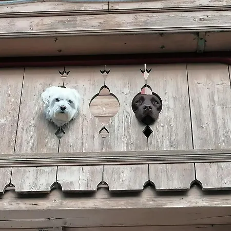 Walchen Near Slopes 피센도르프