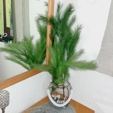 Walchen Near Slopes 아파트