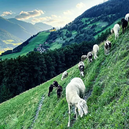 Walchen Near Slopes Apartamento Piesendorf