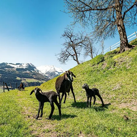 Walchen Near Slopes *